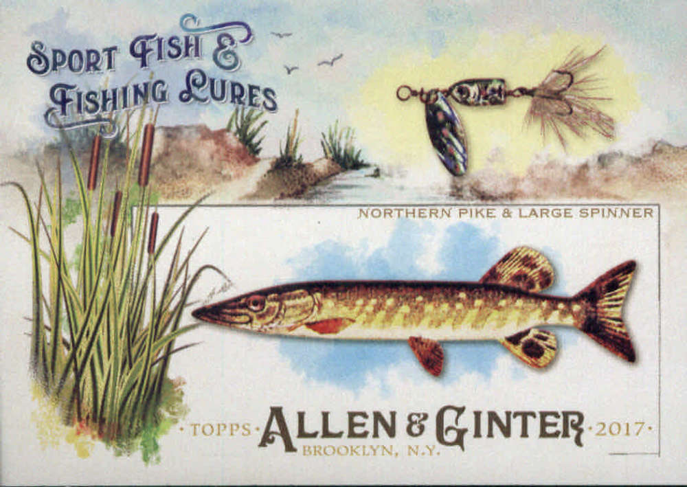 2017 Allen and Ginter  Sport Fish and Lures