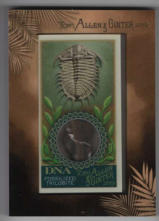 2019 Allen and Ginter  DNA Framed Mini Relics