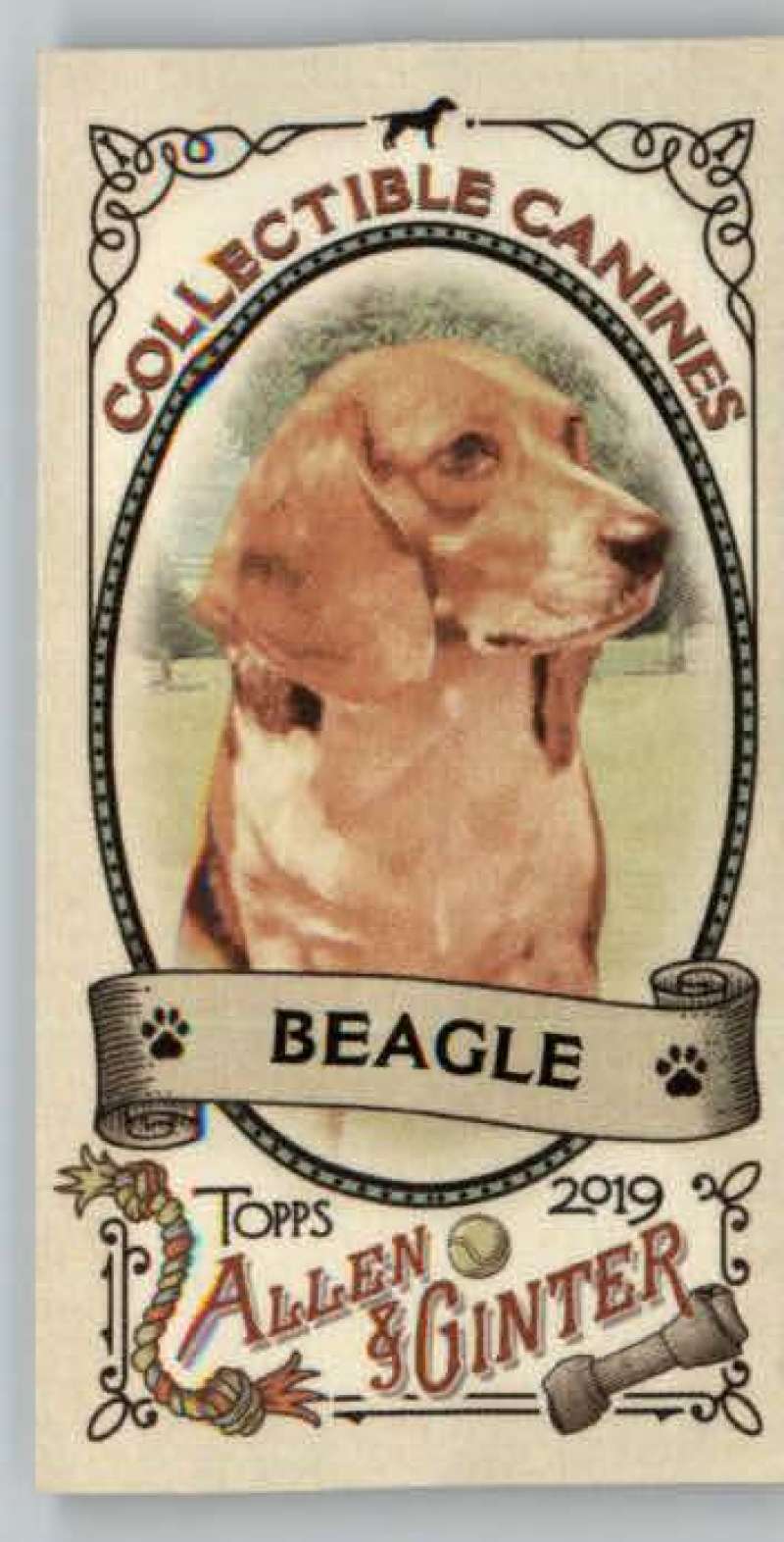 2019 Allen and Ginter  Collectible Canines Mini