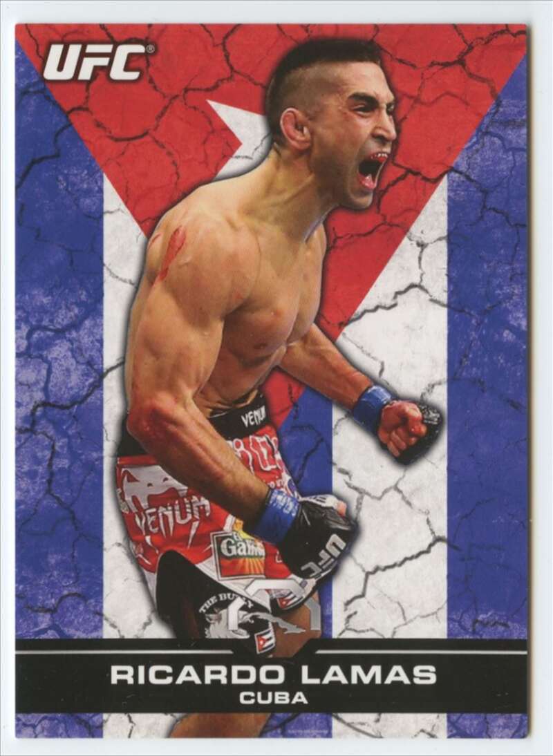 2013 Topps Bloodlines Flag