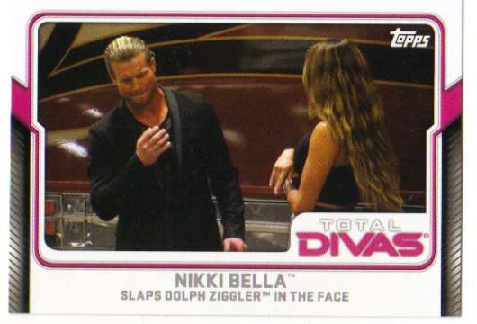 2017 Topps  Total Divas