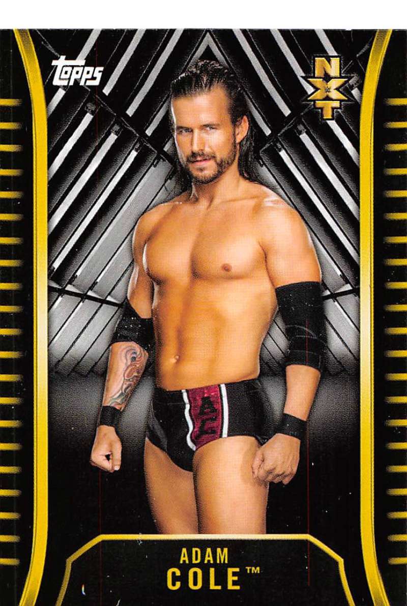 2018 Topps WWE NXT 