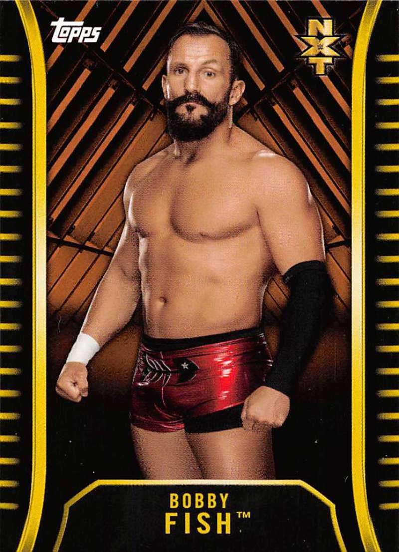 2018 Topps WWE NXT Bronze