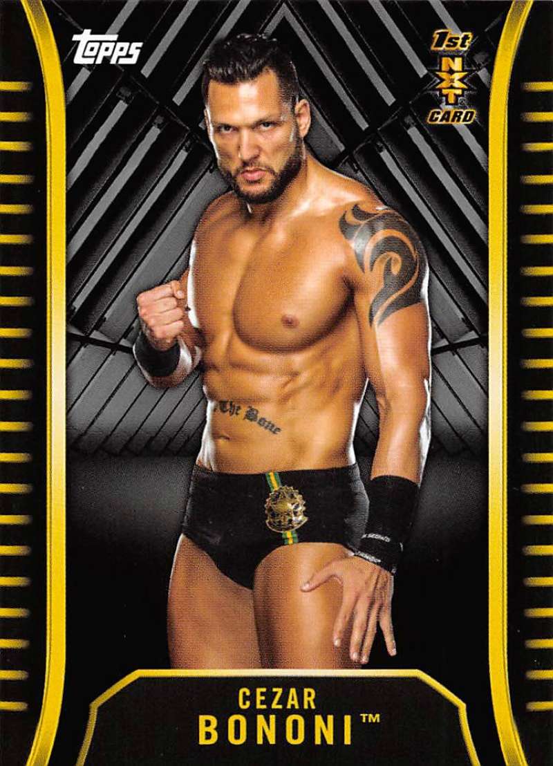 2018 Topps WWE NXT Silver