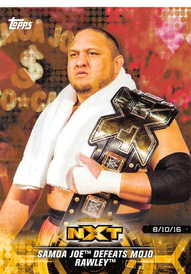 2018 Topps WWE NXT Matches and Moments Bronze