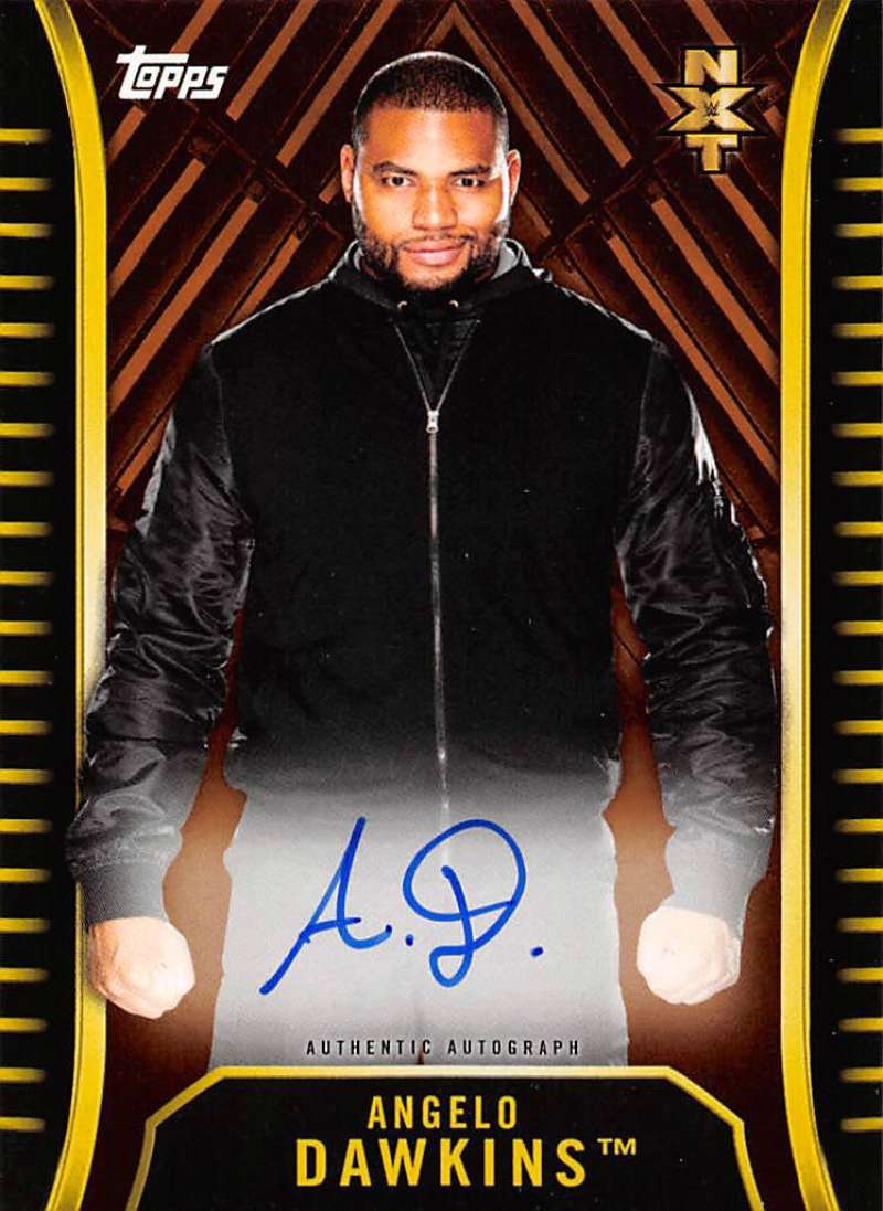 2018 Topps WWE NXT Autographs Bronze